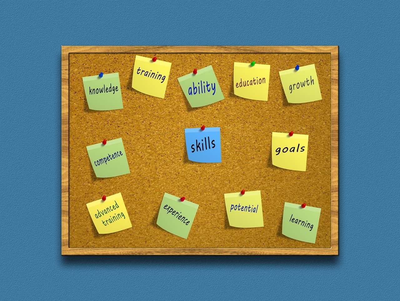 Corkboard with notes about skills and learning.