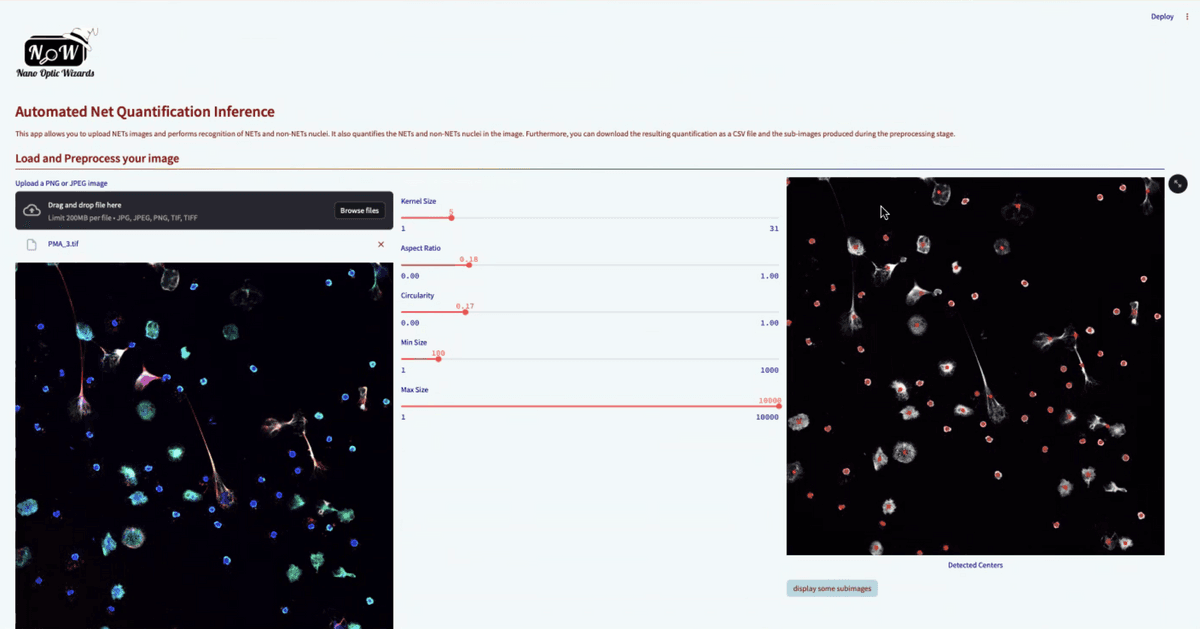 Screenshot of automated image analysis software for cell quantification