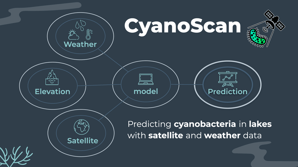 Diagram showing prediction of cyanobacteria in lakes using model with weather, satellite, and elevation data.